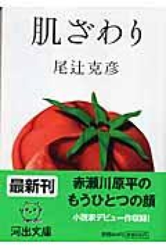 肌ざわり（河出文庫 お 11-1） - 鈴木マキコの本棚