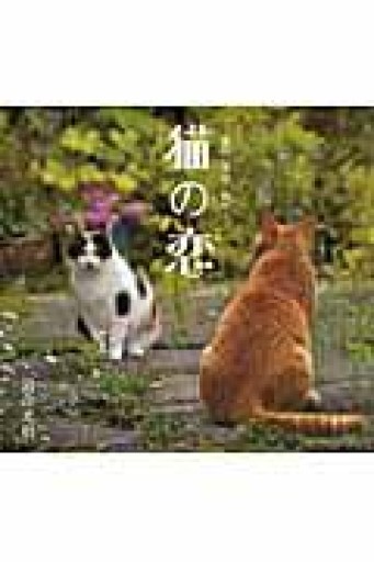 猫の恋 - てのひら書房