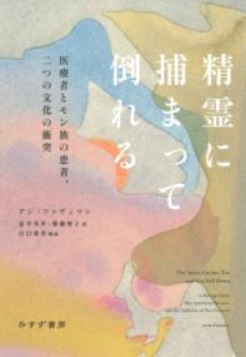 精霊に捕まって倒れる――医療者とモン族の患者、二つの文化の衝突 - 保坂商店