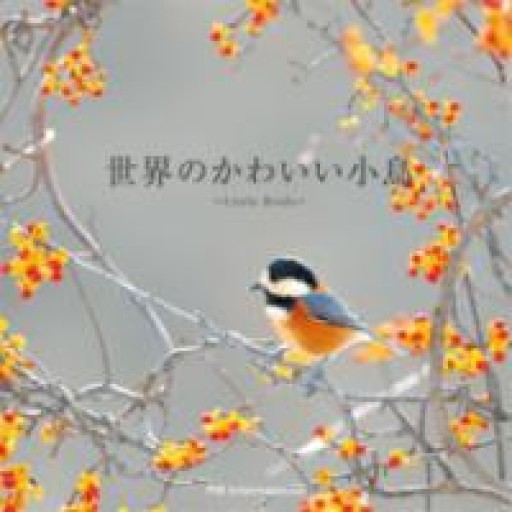世界のかわいい小鳥 - はみいろ書房