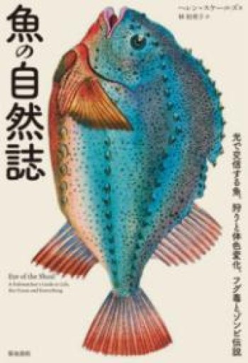 魚の自然誌―光で交信する魚、狩りと体色変化、フグ毒とゾンビ伝説 - 旅するサカナ