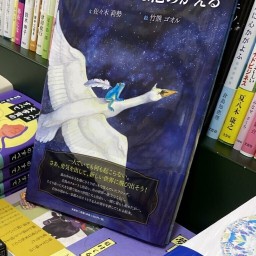 りせちゃんの棚