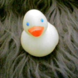 あひる文学