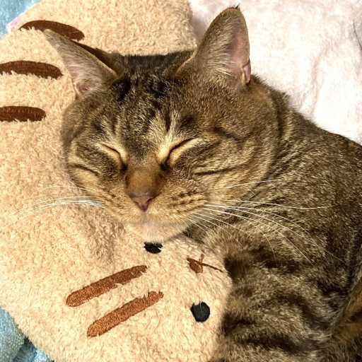 平尾アカデミー・始源館