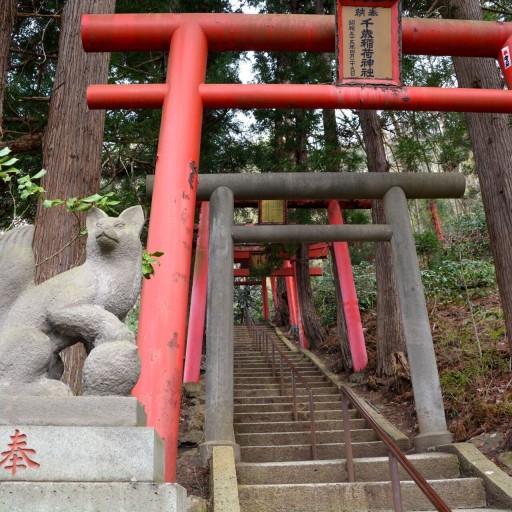 とある官僚の本棚