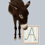 Asinus Books
